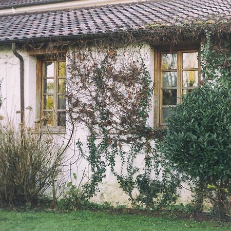 La Casona De Amandi Ξενοδοχείο Villaviciosa  Εξωτερικό φωτογραφία